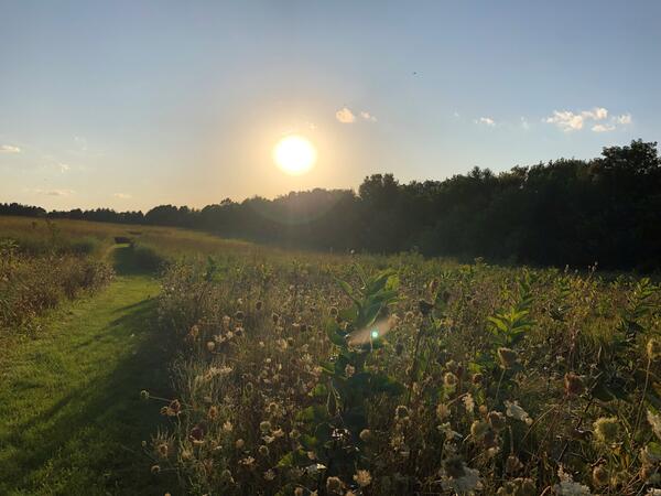 Prairie at Sunset